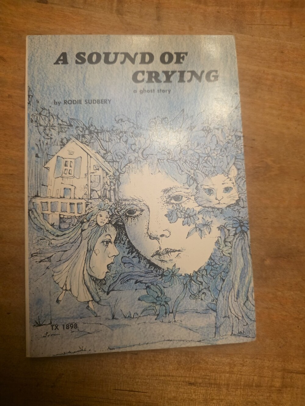A Sound of Crying Ghost Story Rodie Sudbery Scholastic Book TX1898 1972 Paperbck
